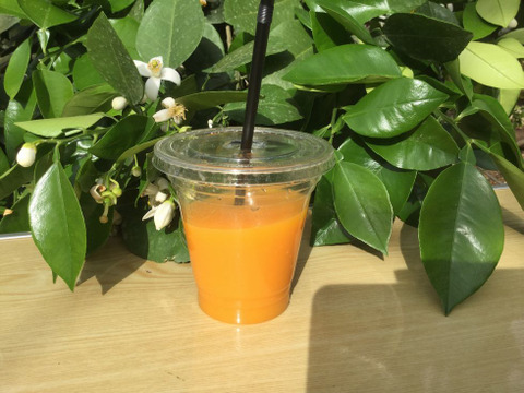 柑橘ブレンドジュースゴールド720ｍｌ瓶二本セット