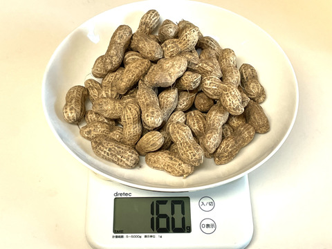 最高級品種「千葉半立落花生」殻付き・生・天日乾燥（煎り落花生用） 群馬県産  160 g