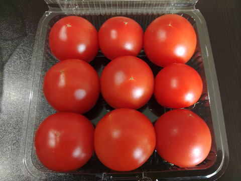 幻のトマト「光２号」　糖度8度以上　450ｇ   北海道産