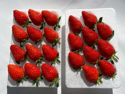 香り広がる。「かおりの」250g×4p