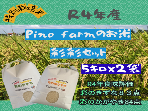 R4年産　Pino farmのお米　彩彩セット　【５㎏×２種】