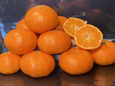 愛媛の甘平☆混合サイズ☆ご家庭用☆2.5㎏×２ケース