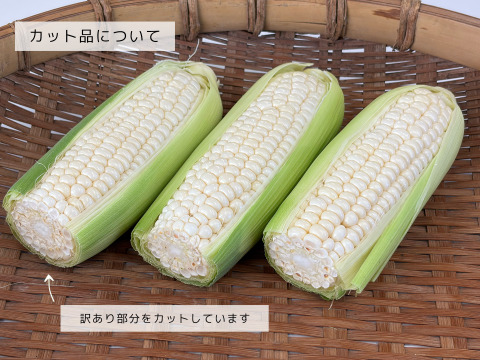 【訳あり・カット品】ホワイトショコラ 7kg｜家庭用・加工用