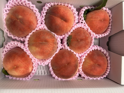 まるせい果樹園の桃【ゆうぞら】2kg箱　(6～11玉入り)   my2