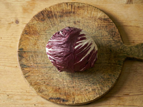 北イタリア伝統の冬野菜！トレビス（ラディッキオ）　1個（約350g前後）