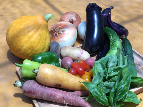 9/25更新✨7つの野菜チョイス!農薬・化学肥料不使用の野菜セット🥬
