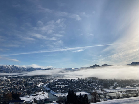 【たっぷりサイズ】極甘！樹上完熟「魚沼ブルーベリー」1kg（250g×4パック）