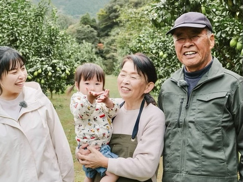 残留農薬ゼロのレモン！璃の香10kg【佐賀県産たきのれもん】