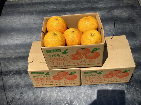 早取りの幻の柑橘　淡路島なるとオレンジ　3kg数量限定