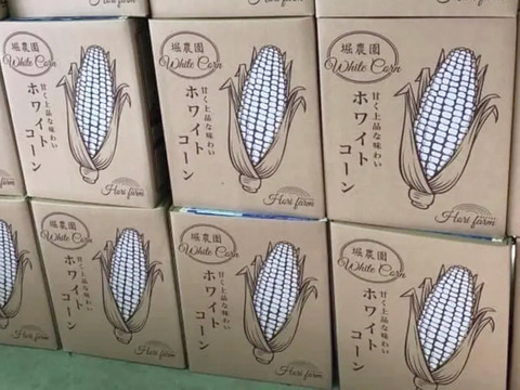 【ご家庭向け訳あり】たっぷり4.5kg フルーツの甘さ ホワイトショコラ（10〜18本）