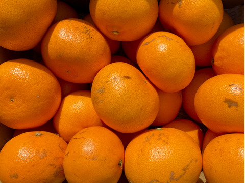 【訳ありだけど美味しさそのまま】せとか 5kg 愛媛県産