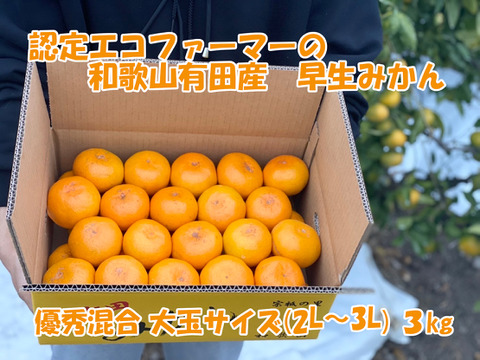 【大玉サイズ(２Ｌ・３Ｌ）・秀／優混合】≪3㎏≫和歌山有田産！早生みかん