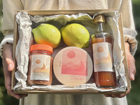 【福袋】自然栽培で育った『キュ〜っと酸っぱい！』ひとみずの梅 3種とレモン2個セット｜無添加｜無肥料｜農薬不使用｜紀州南高梅の梅干し｜練り梅｜梅酢｜レモン｜日々のお供に　贈り物に【冬ギフト】