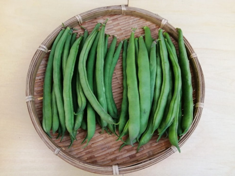 丸莢インゲン＆平莢モロッコ (各300g、計600g)
