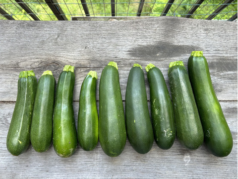 10/20まで！【有機ＪＡＳ】規格外ズッキーニ２ｋｇ農薬・化学肥料不使用 信州産