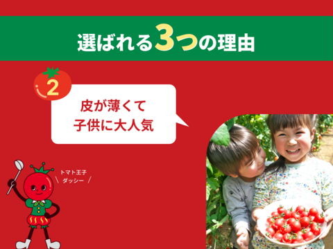 ☆祝☆出産祝い！★10%off★幸せのお裾分けミニトマト♪900g　☆子供に大人気☆超濃厚ミニトマト