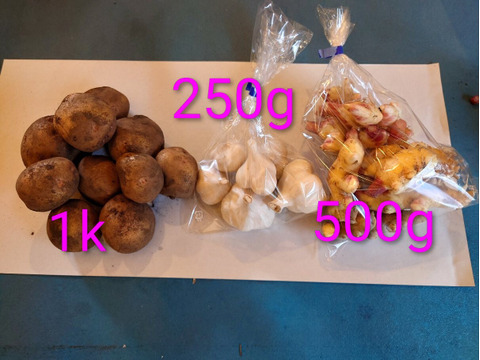 【ちょっと訳有❗】野菜セット（ジャガイモ、にんにく、新生姜）
大きさ色々　60サイズ　1.8㎏
