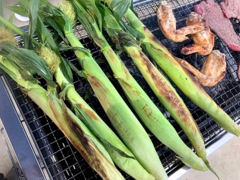 【今だけ】ホワイトショコラのヤングコーン（数量限定）３kg