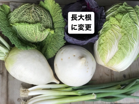 寿様専用】：京都府産の野菜セット｜食べチョク｜産地直送(産直)お