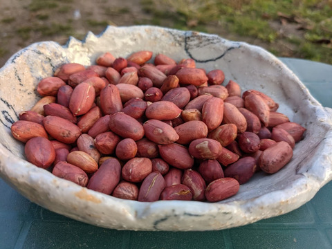 豆を食べよう　煎りピーナッツ　小袋サイズ50ｇ　2袋