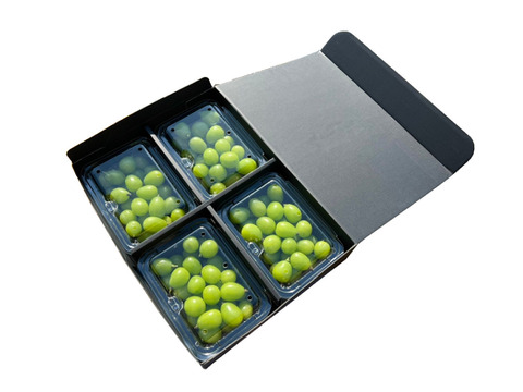 【訳あり品】化学肥料・除草剤不使用 山形県産 シャインマスカット バラ詰 約1kg以上　SHAB01-01