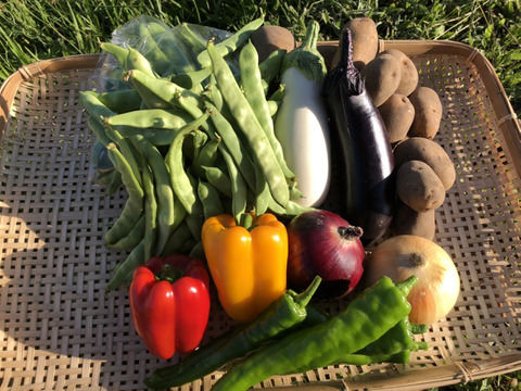 【好評につき増量】【北海道在来種】【貝豆】ささげ2kg + 季節の北海道野菜セット【平さやいんげん】【100サイズ】