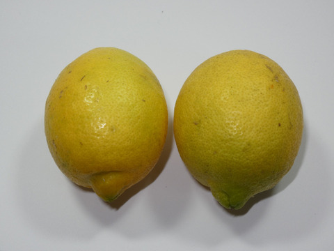 ぽん酢とセット！お試しに　皮まで使える瀬戸内レモン　約８個　M～Lサイズ