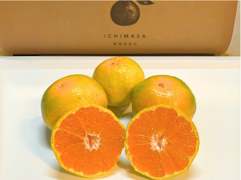 柑奈さま専用 MANA様 専用