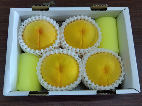 強い甘みと食欲をそそる鮮やかな色合いの「黄金桃」（お試しサイズ・約1.4kg）