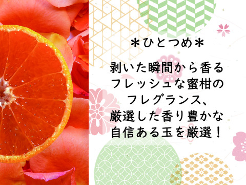 【紀州みかん“かほる橘つ華”】　3ｋｇ（箱込み）