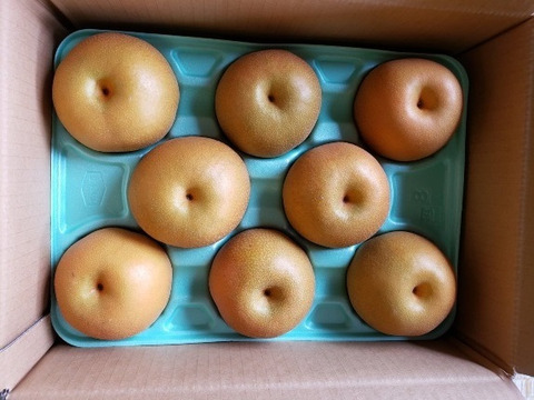 贈答用 超特大 豊水梨 8玉入り 5kg ✖️3箱 ご家庭用品】梨 豊水 3Kg箱 7玉~8玉 _2024：千葉県産のその他梨