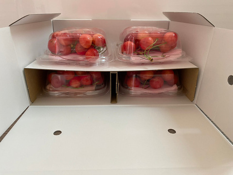 まるせい果樹園のさくらんぼ　『紅秀峰』　200ｇ×4Ｐ　バラ詰め  sb1