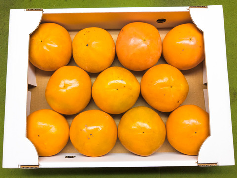 福岡の太陽が育てたあま〜い『富有柿』5kg Lサイズ（約22玉・優ランク）｜ご家庭用にも 【冬ギフト】 にもぴったり！