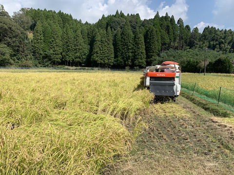 『やまのおこめ-ヒノヒカリ』玄米5ｋｇ【令和４年度米】「九州のお米コンクール」食味スコア81獲得！