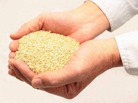 【農薬・肥料不使用】味に自信あり！自然栽培米ハツシモ【3kg】【玄米】【令和5年産】