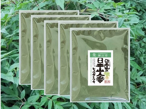 お徳用　日本山人参粉末（ヒュウガトウキ）６０ｇ×５袋　栽培期間中は農薬・化学肥料不使用、本場大分県産　品質に自信あり