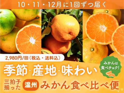 【食べチョク旬の食べ比べ便】晩生（青島みかん）3kg🍊