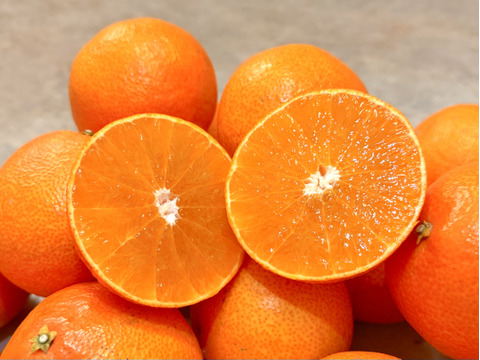 【初売り50セット限定】完熟ハウス 福まどんな《ご家庭用 2kg》｜Sサイズ｜愛媛・西宇和産