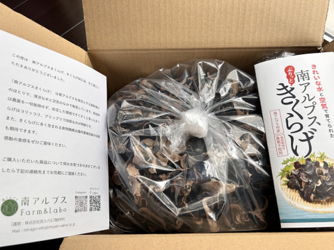 数量限定価格！！　山梨県南アルプス市産　乾燥あらげきくらげ　徳用大袋500ｇ（生きくらげ換算５Kg程度）（未選別品）