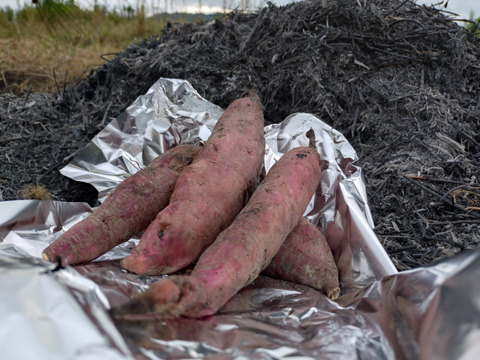さつまいも　べにはるか 2kg【漢方栽培】