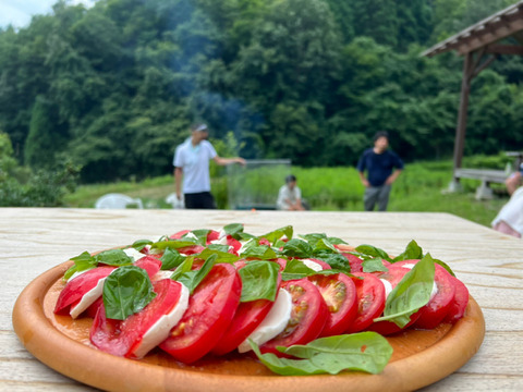 🍅夏を盛り込み！京都美山の京野菜セット❗🥬【80サイズ】【6品目】