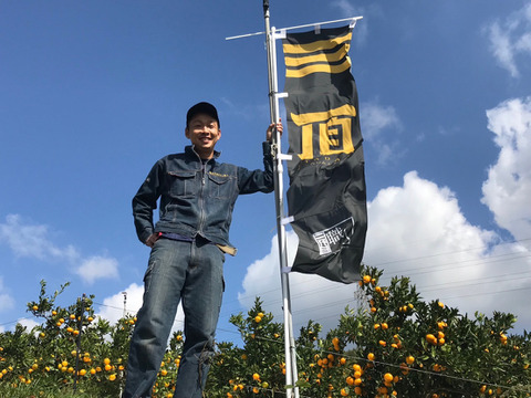 【母の日ギフト】せとか×デコ 食べ比べセット3kg｜春限定・贈って喜ばれる柑橘ギフト