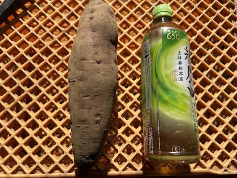 期待の新製品❣️ホクホク栗かぐや(ちょっと大きめL〜2Lサイズ3kg)