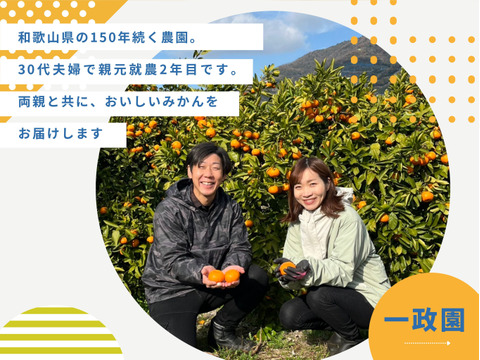 有田みかん　樹上完熟みかん　3キロ（箱込み）　2Sサイズ 家庭用　【上野早生】　極早生みかん