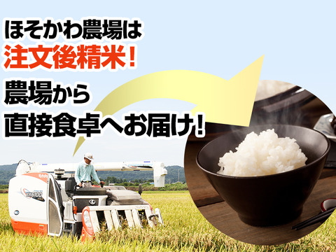 【プレミアム米】令和3年産新潟県認証特別栽培米コシヒカリ白米20kg（5㎏×4袋）