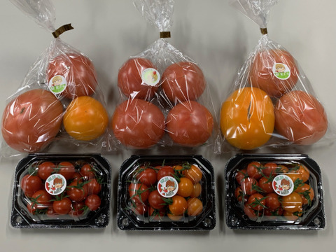 パリッと！新鮮！大玉トマト＋ミニトマトの4品種ランダムお楽しみセット【3袋＋3パック】