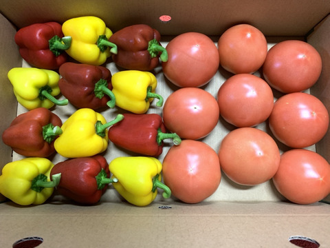 島原産大玉トマトとミニパプリカパプリカのセット(大)