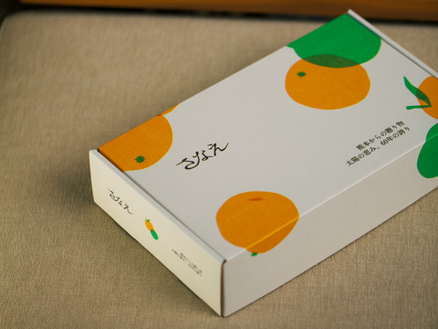 【一番人気】果汁たっぷり！さなえみかん 2.5kg（25個程度）