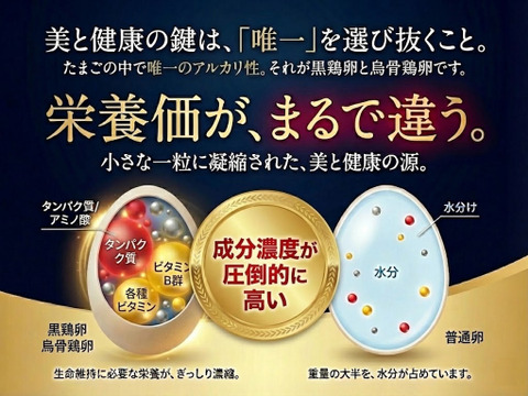 【食べ比べ】希少な烏骨鶏＆濃厚黒どりネラ 16個＋破卵保証4個（計20個）