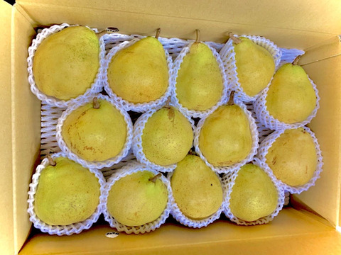 早い者勝ち‼️高級西洋梨✨訳あり【ルレクチェ】小玉　3kg